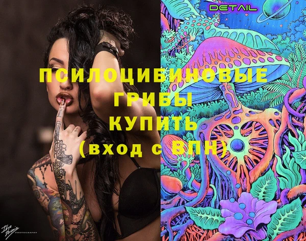 дживик Дмитровск