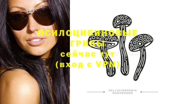 дживик Дмитровск