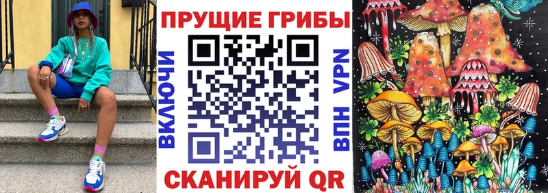 Галлюциногенные грибы Psilocybe  где найти наркотики  Октябрьск 